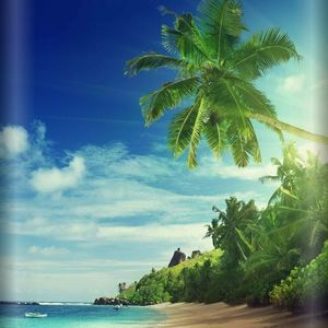 Meet your Posher, Mandy